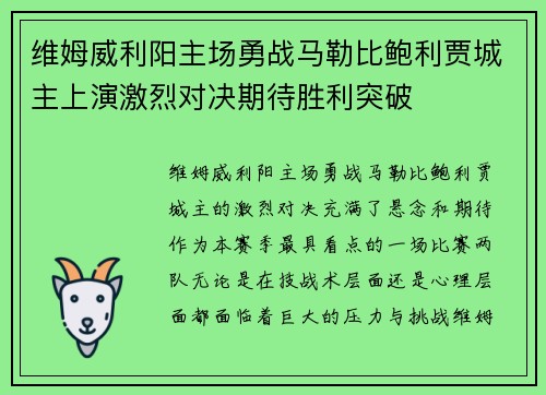 维姆威利阳主场勇战马勒比鲍利贾城主上演激烈对决期待胜利突破